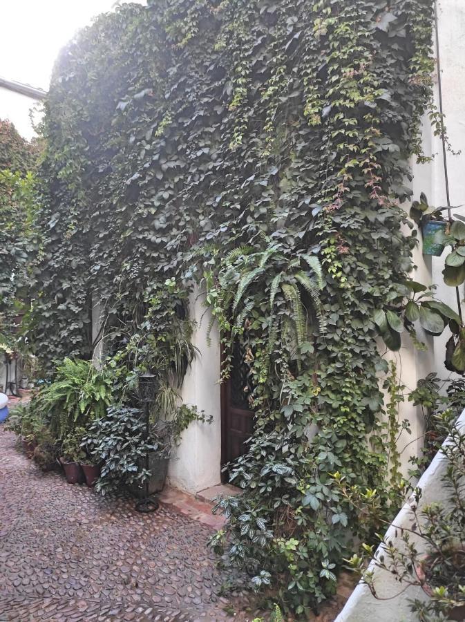 Apartamento Dama de Noche Córdoba Exterior foto